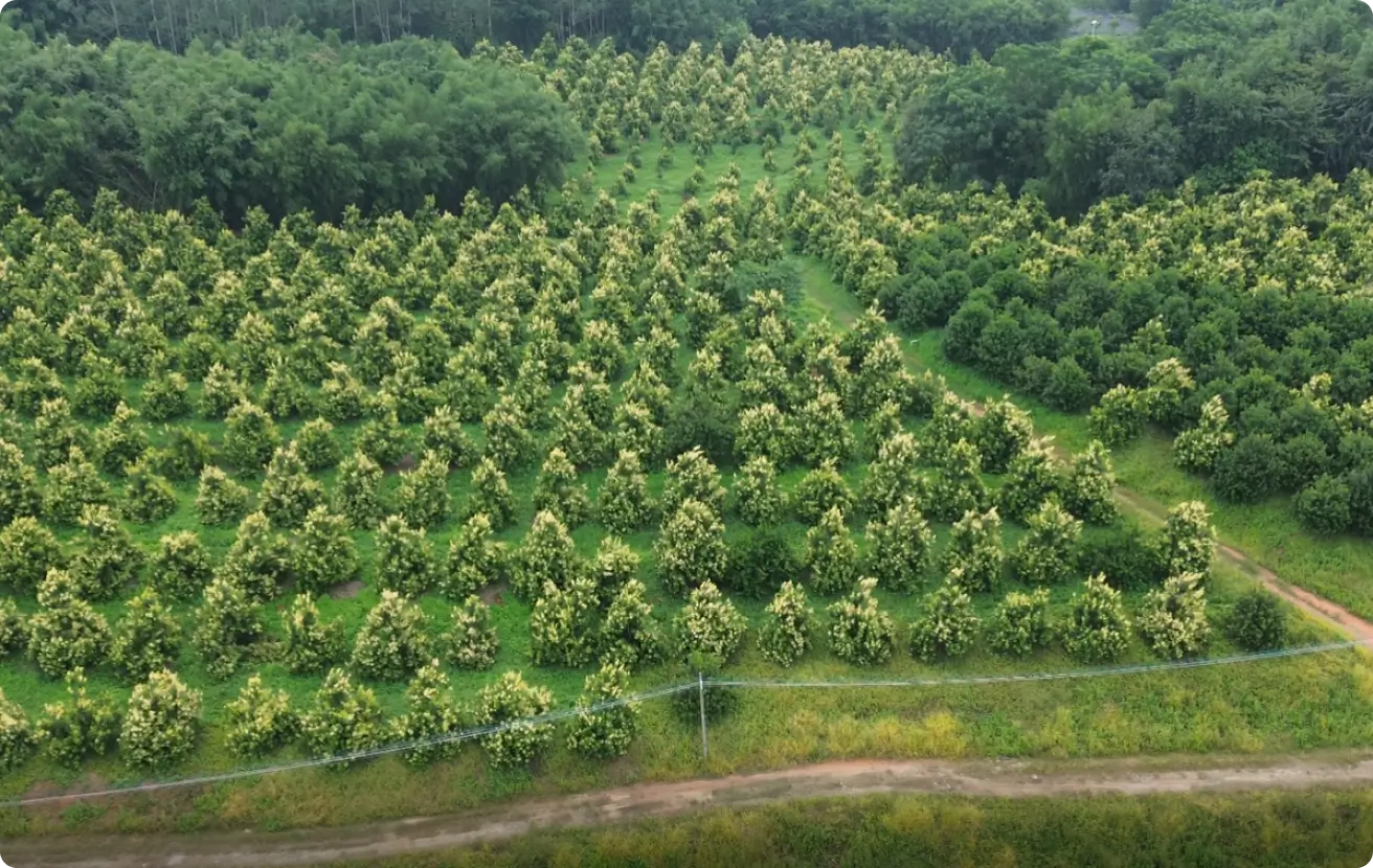 /image/pic_agiculture.webp